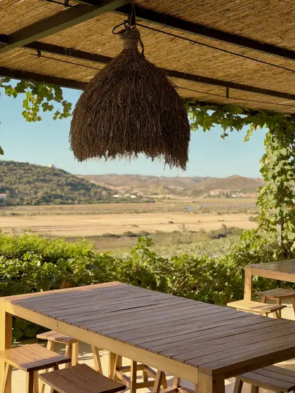 The Arvad terrace looking across the vineyard and valley before Vine and Fire began.