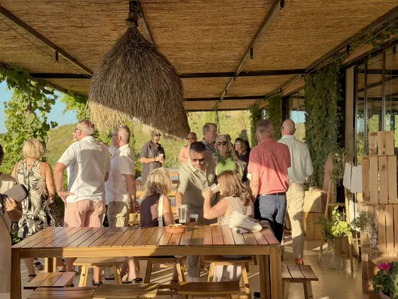 Guests gathering on the terrace in the golden evening light at Arvad Vineyard.